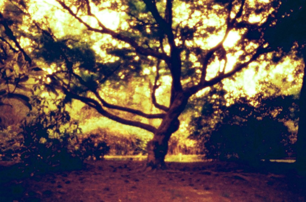 pinhole photograph