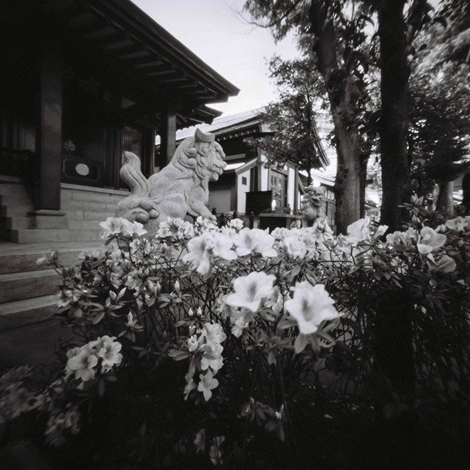 pinhole photograph