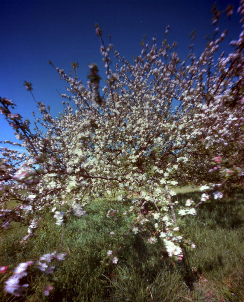 pinhole photograph