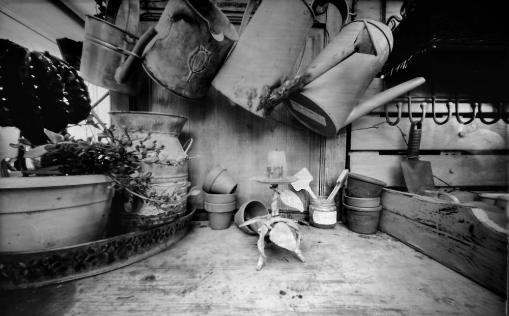 pinhole photograph
