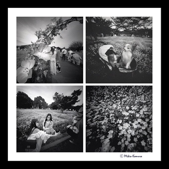 pinhole photograph
