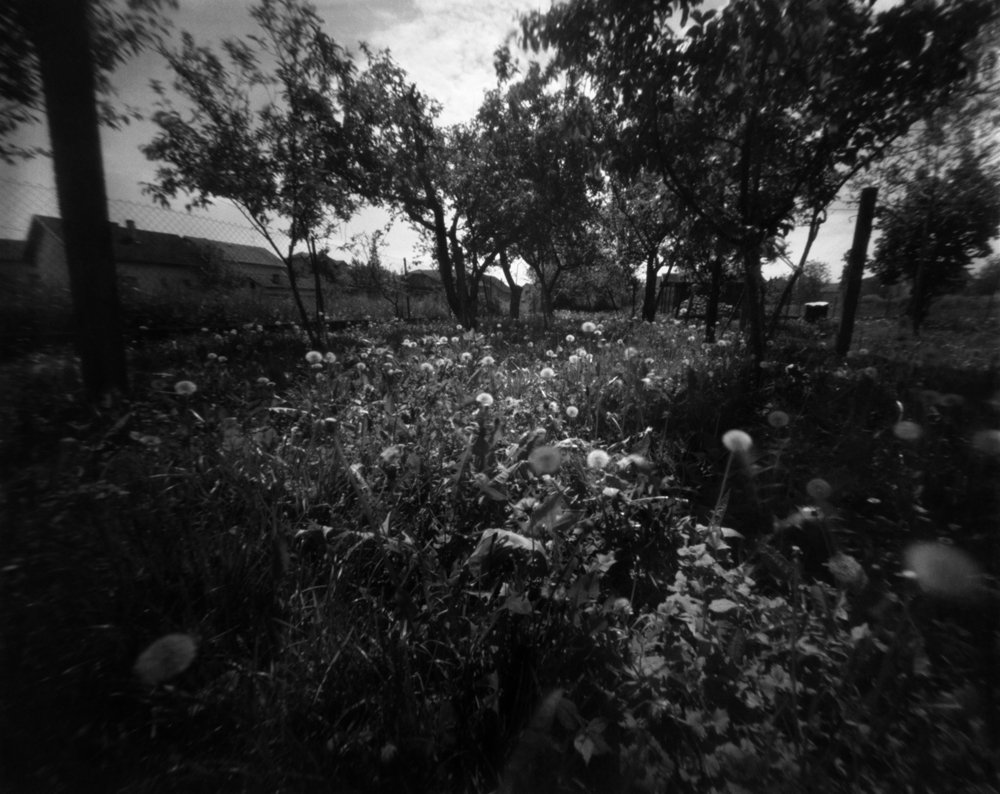 pinhole photograph