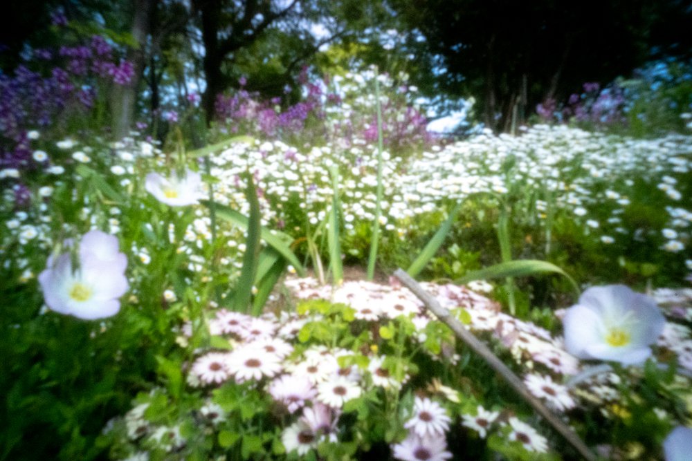 pinhole photograph