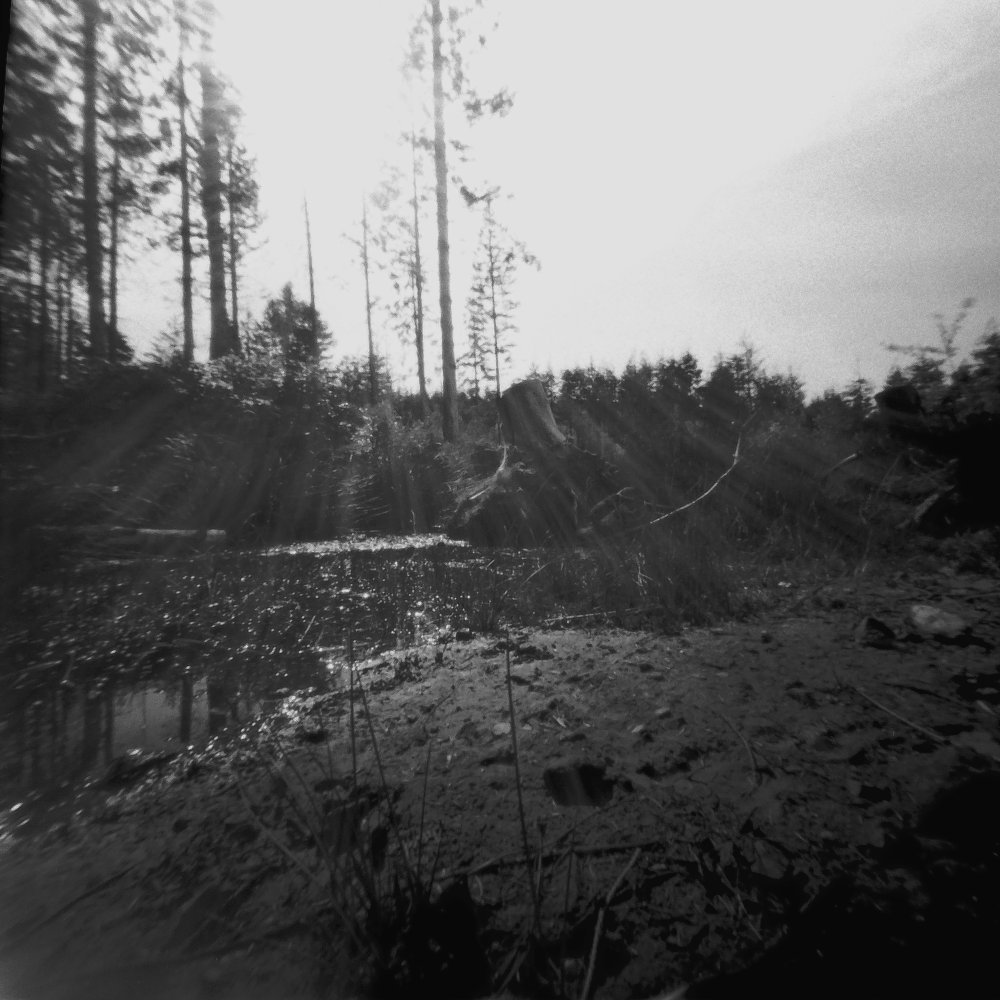 pinhole photograph
