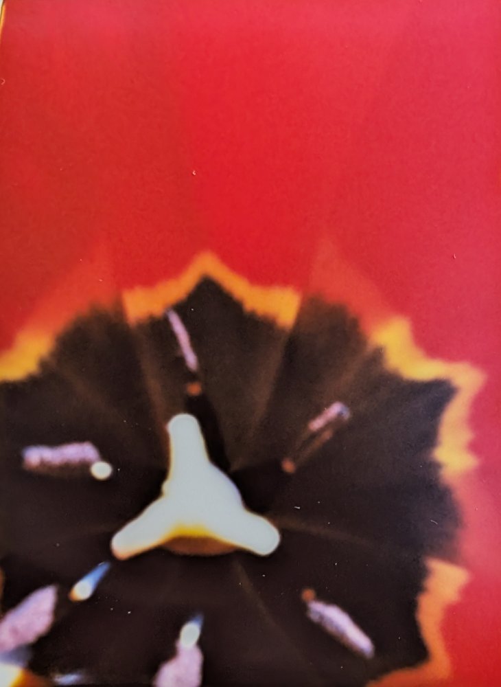 pinhole photograph
