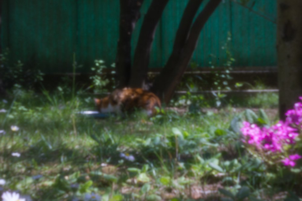 pinhole photograph