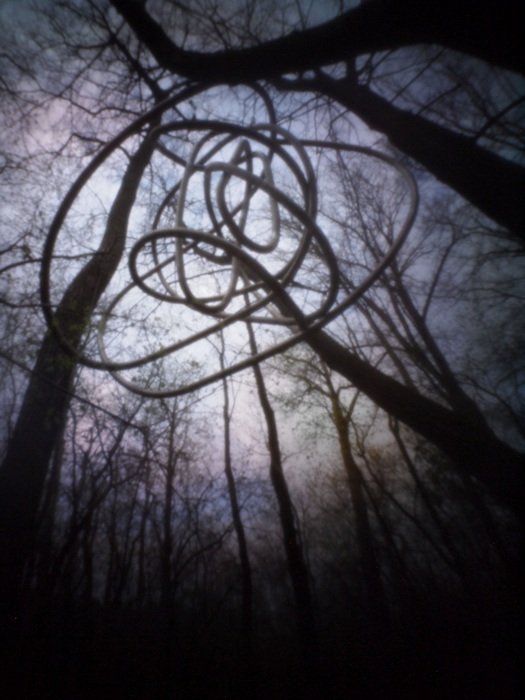 pinhole photograph
