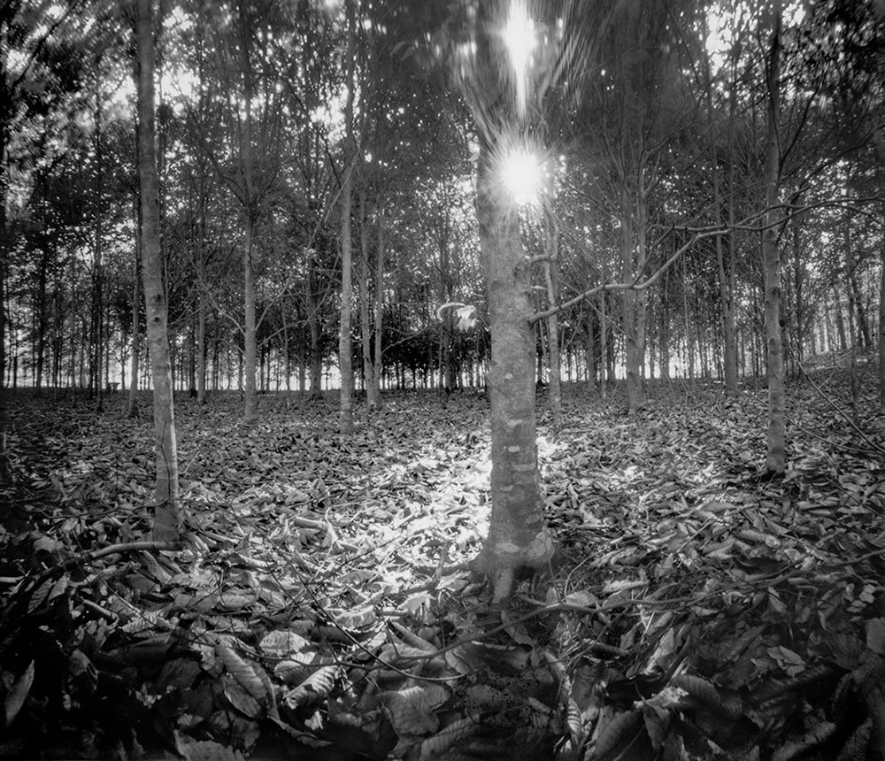 pinhole photograph