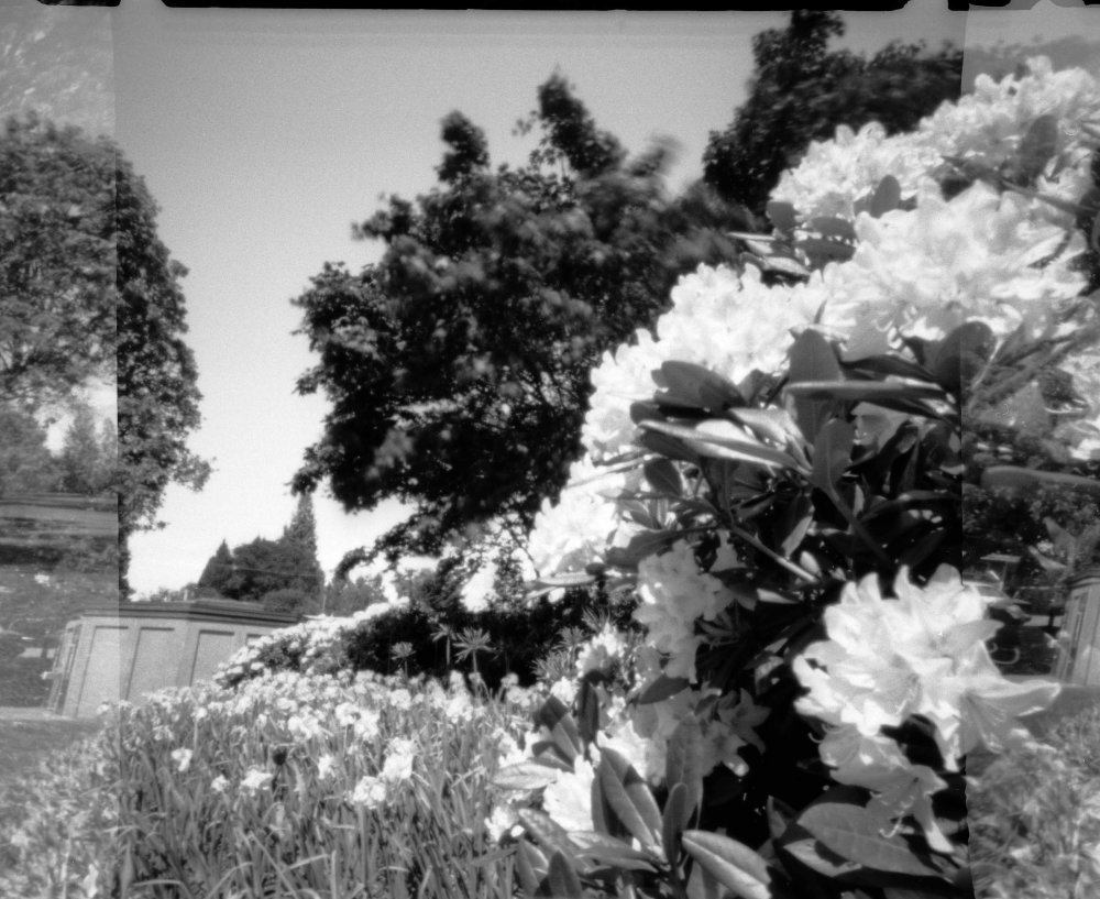 pinhole photograph