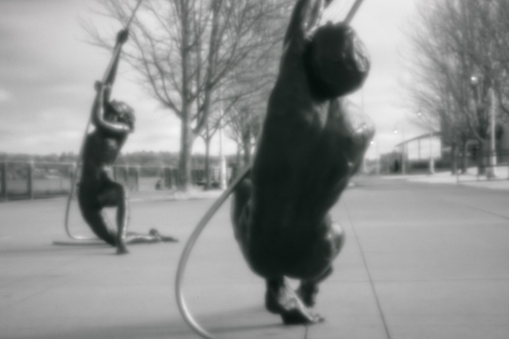 pinhole photograph