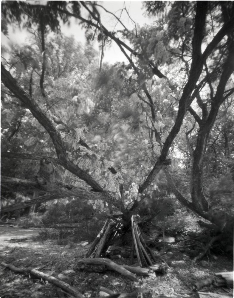 pinhole photograph