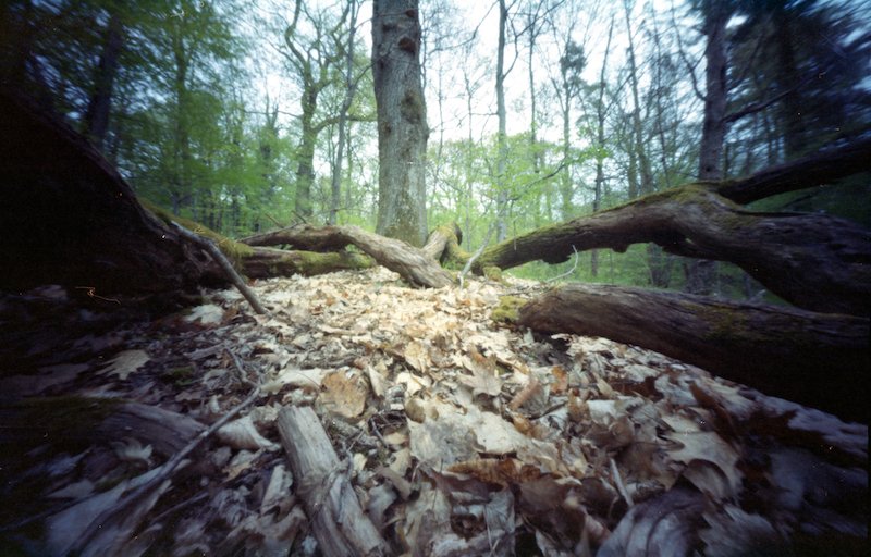 pinhole photograph