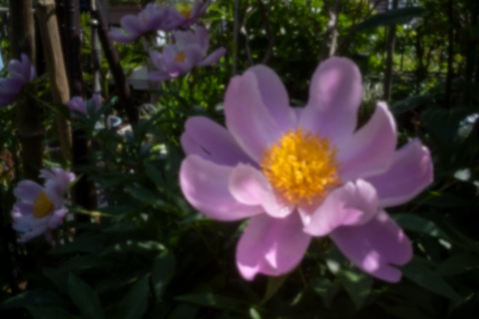 pinhole photograph