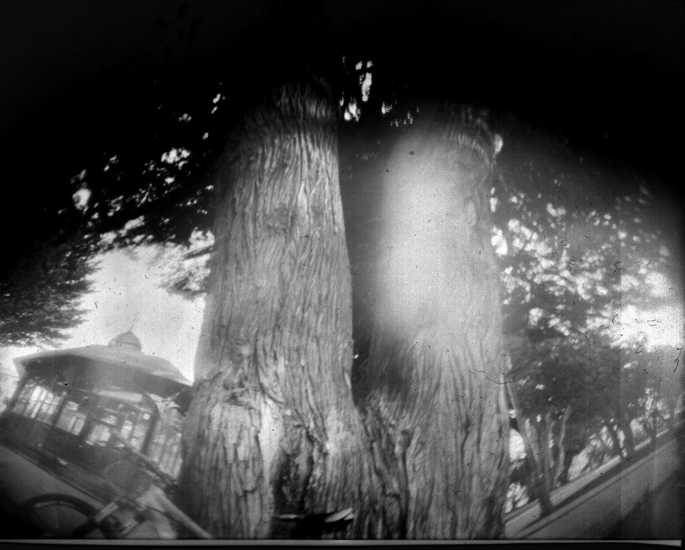 pinhole photograph
