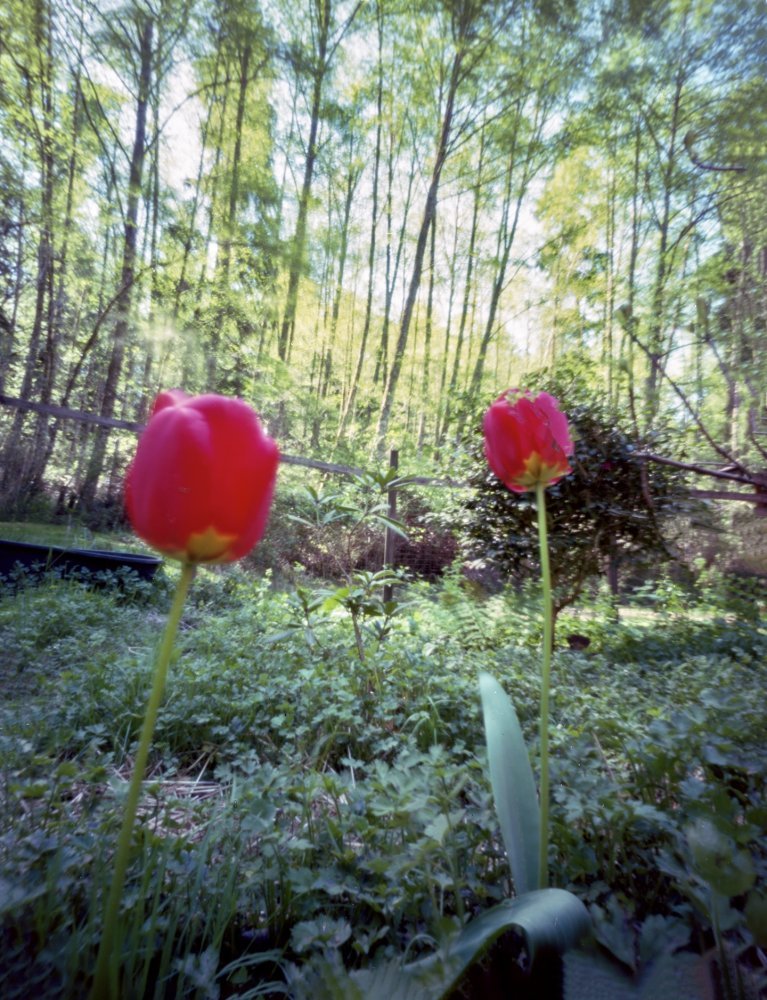 pinhole photograph