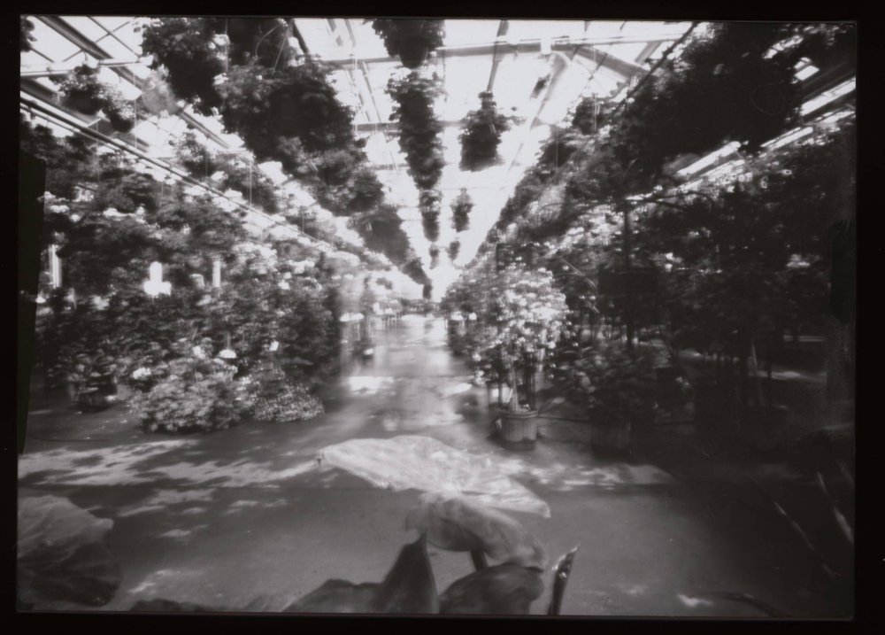 pinhole photograph
