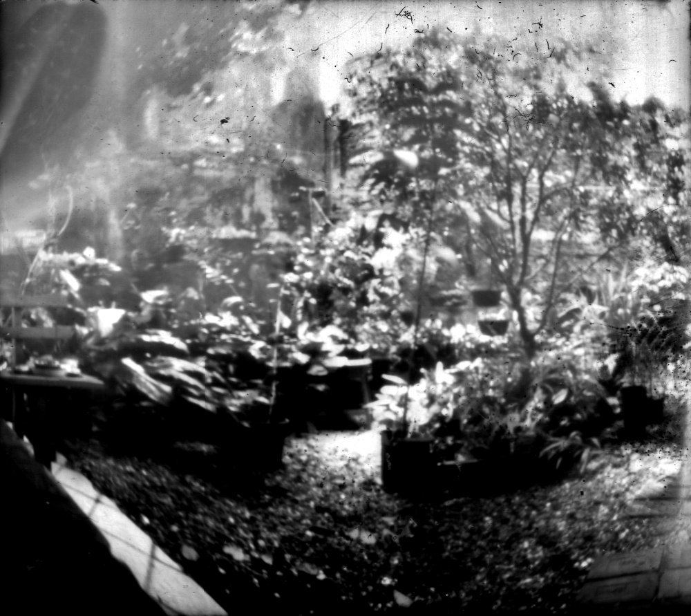 pinhole photograph