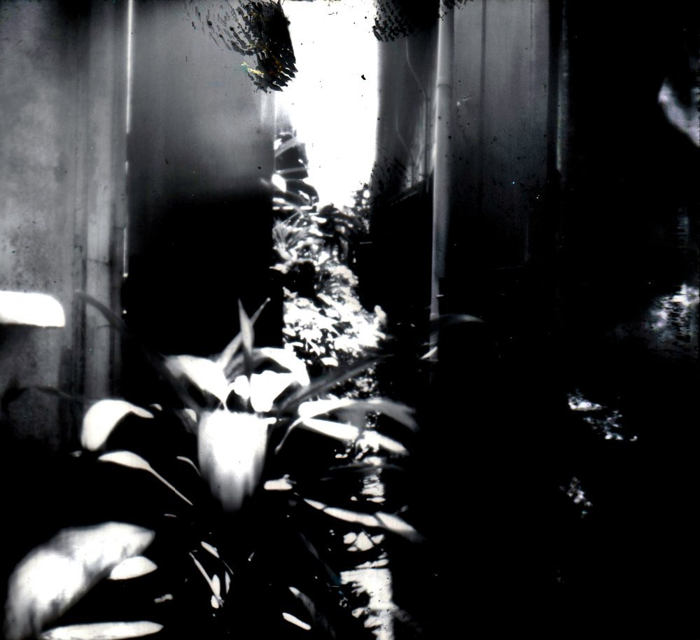pinhole photograph