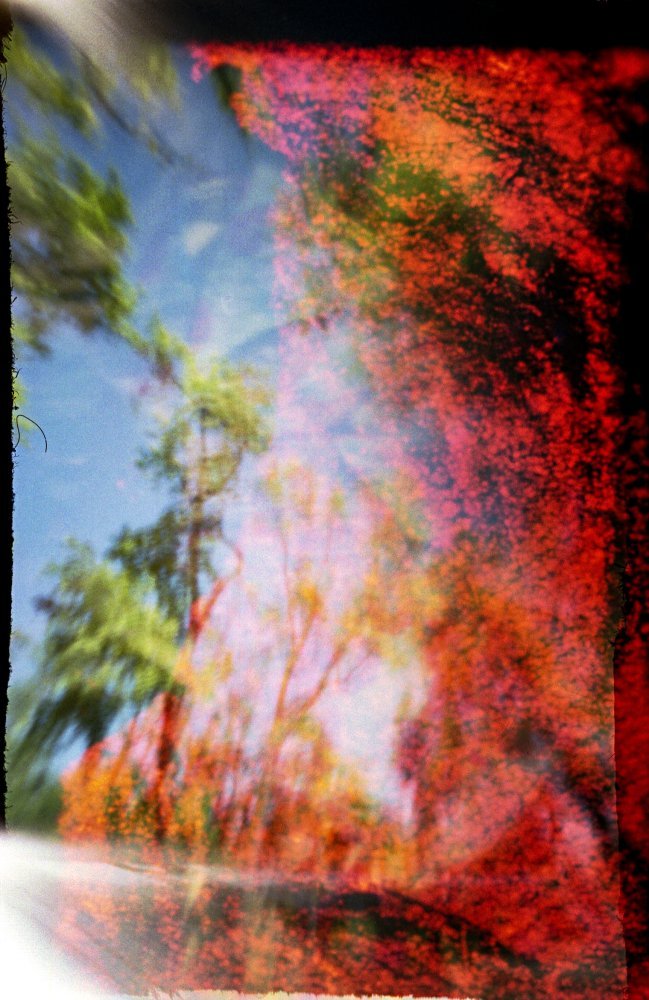 pinhole photograph